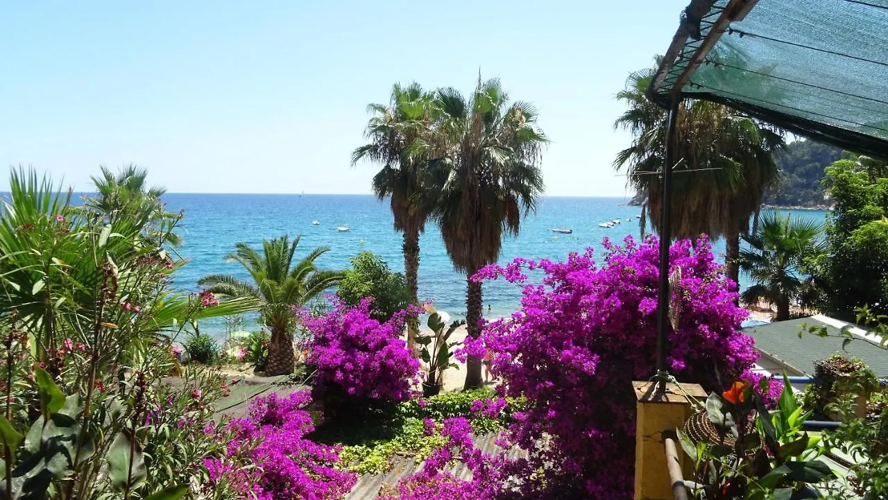 Apartament La Vista Bonica Blanes España
